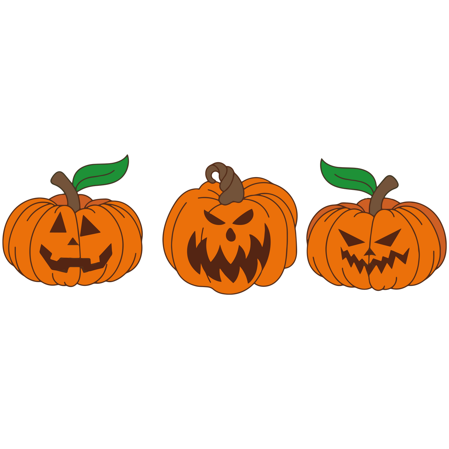 Pumpkins (3 Pack)