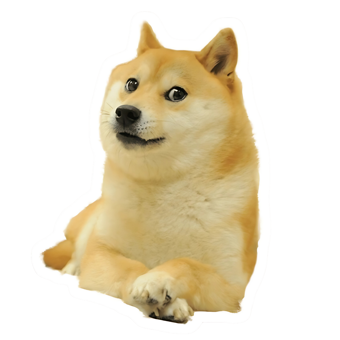 Doge