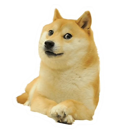 Doge